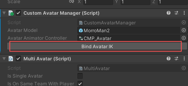 Bind Avatar IK